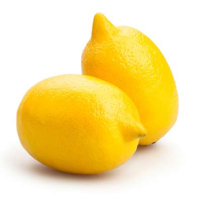 lemon_234304936